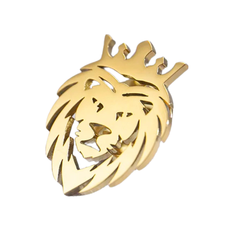 Broche, broche para terno, broche masculino, broche para terno masculino, broche de leão, broche de leão com coroa
