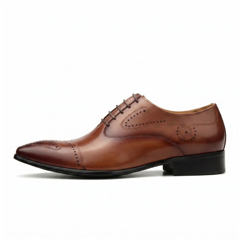 Sapato Social Masculino Oxford Brogue Maximus